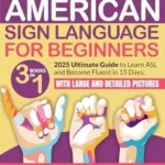 American Sign Language for Beginners